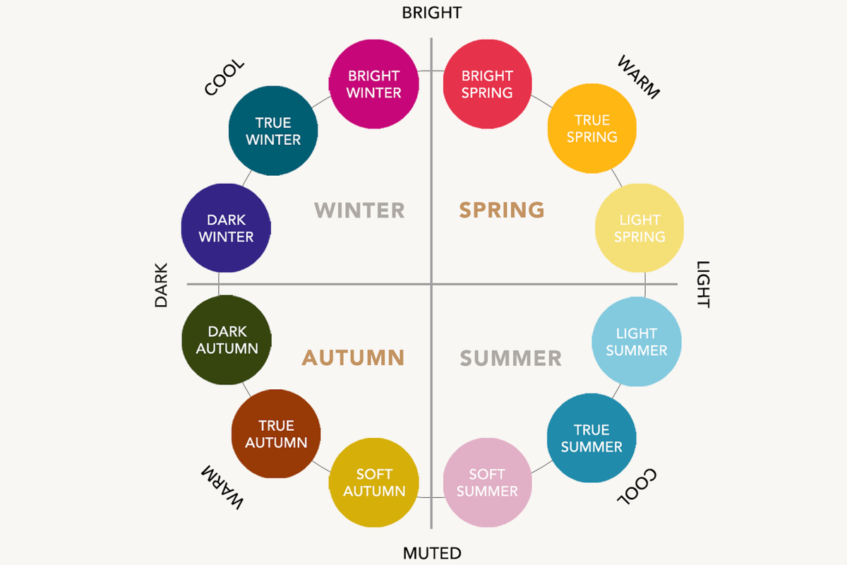 A chart to show the 12 colour seasons.